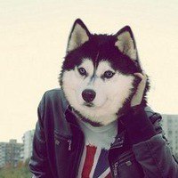 Данил Галичин