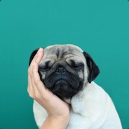 Rockage ◥◣ ◢◤ |loot.farm