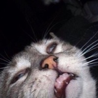 Марат Макаров