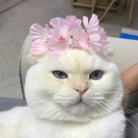 Олег Пелех