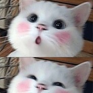 Lu