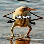 Пися CsGo500
