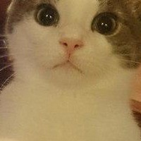 Максим Уваров