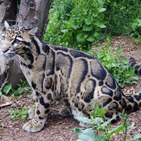 Лёша Прудник