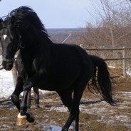 Даун