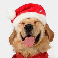 Бехруз Рахманкулов