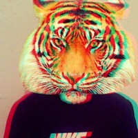 Иван Квашнин