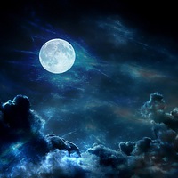 Moonlight Silence