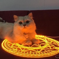 Ярослав Красивов