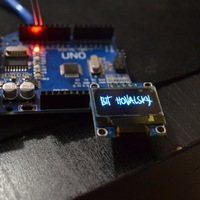 Bit