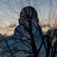 Владислав Невзгодов