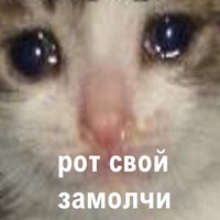 Влад Шарапов
