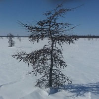 Александр Адамов