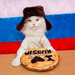 russian1kot