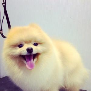 mfsamuel