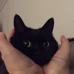 Athena
