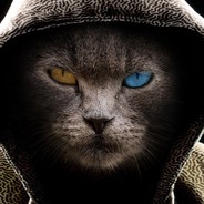Meow(1)