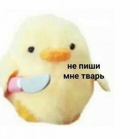 Илья Косов