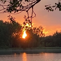 Артём Новик(1)