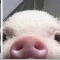 Стас Коломийчук