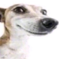 Эрнест Костанян