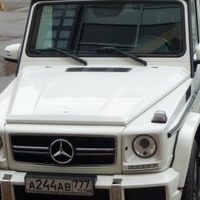 Коля Налимов