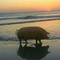 Шедоуфинд Гена