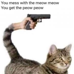 Dun