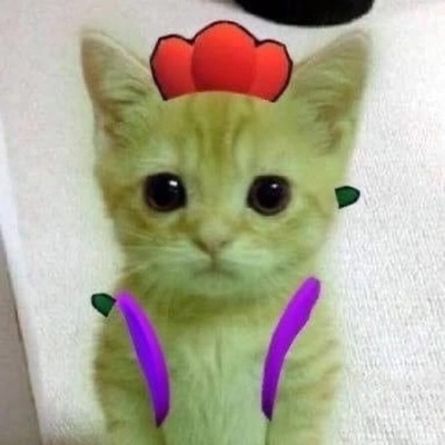 Дима Жога