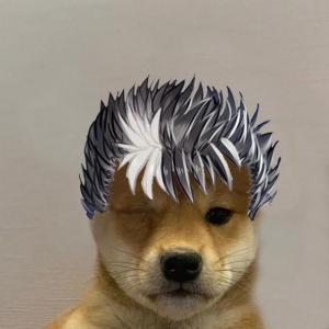 seeshka