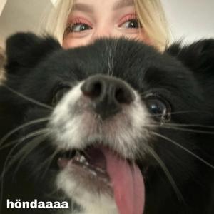 hondaaaa