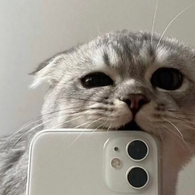 Рома Игнатенко