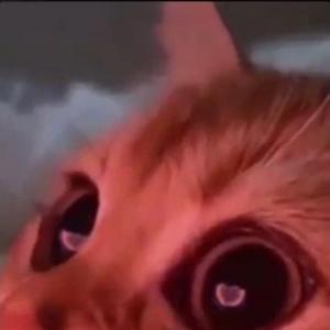 tommygundioff