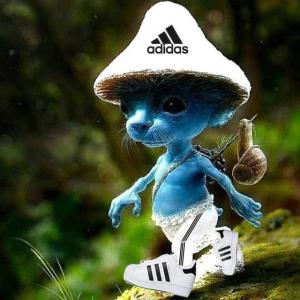 yng