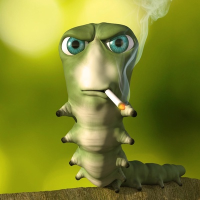 Саня Чураев