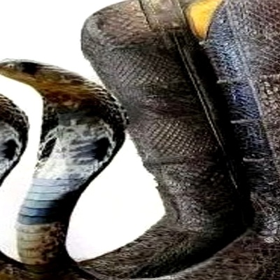 Данил Губайдулин