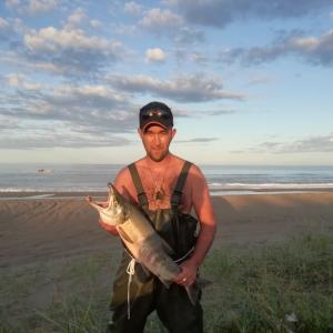 Александр Стародубцев