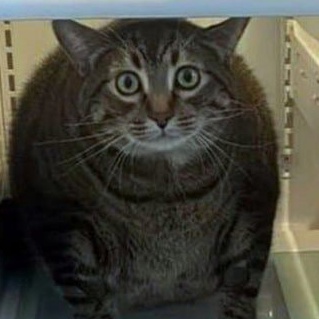 Иосиф Сальников