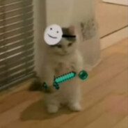 Negroid5000_ultra1fpsbrawlstars