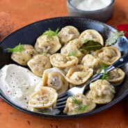 МилыеПельмени2004