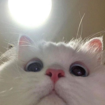 Александр Полуэктов