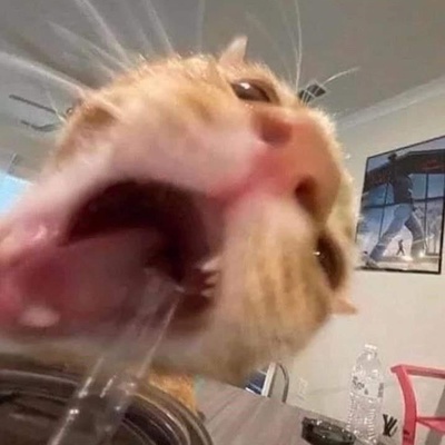 Не Согрешим