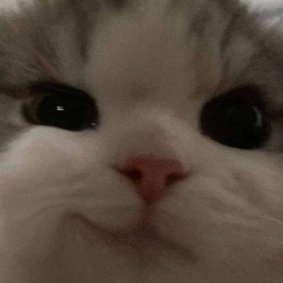 Макс Цукерберг