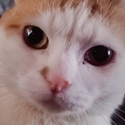 Михаил Жилин