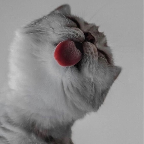 Ринат Мухаметшин