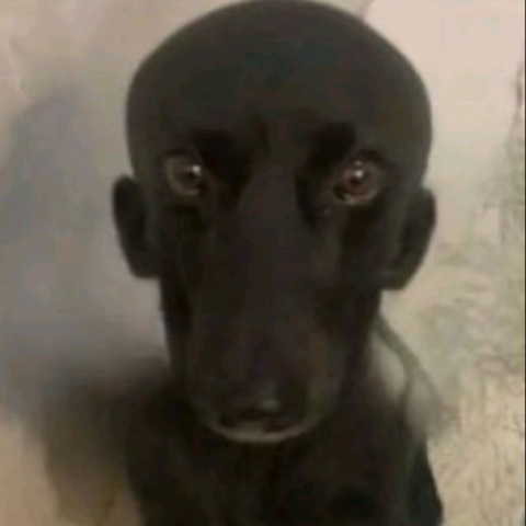 Кирилл Горшенин