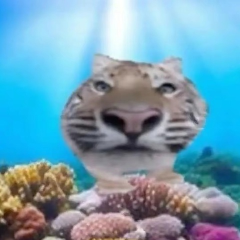 Icanbelieveiletyouget Away