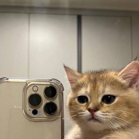 Артемий Толкачев