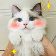 солнышко