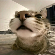 KEEPCALMANDENJOYPROGRESS